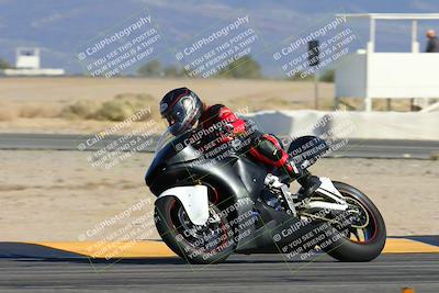 media/Feb-03-2024-SoCal Trackdays (Sat) [[767c60a41c]]/11-Turn 16 (2pm)/